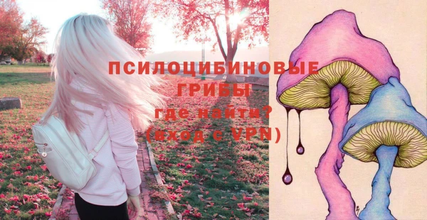 винт Алексин