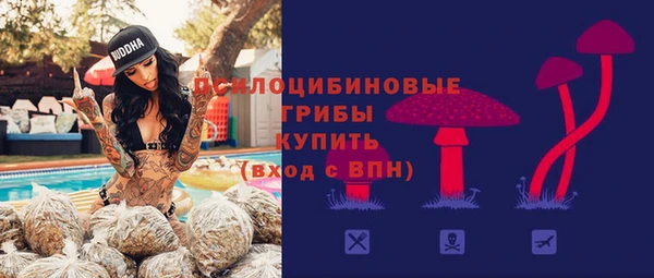 бутират Алзамай